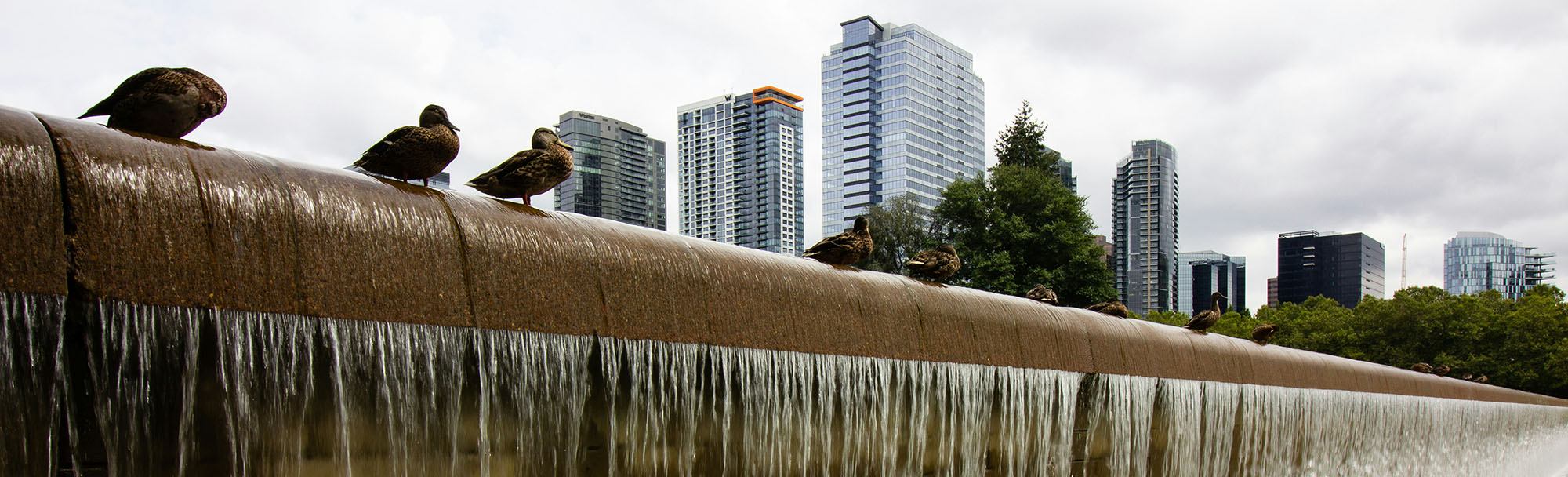 ryan-stone-nqVH8sZz6oU-unsplash ryan-stone-nqVH8sZz6oU-unsplash