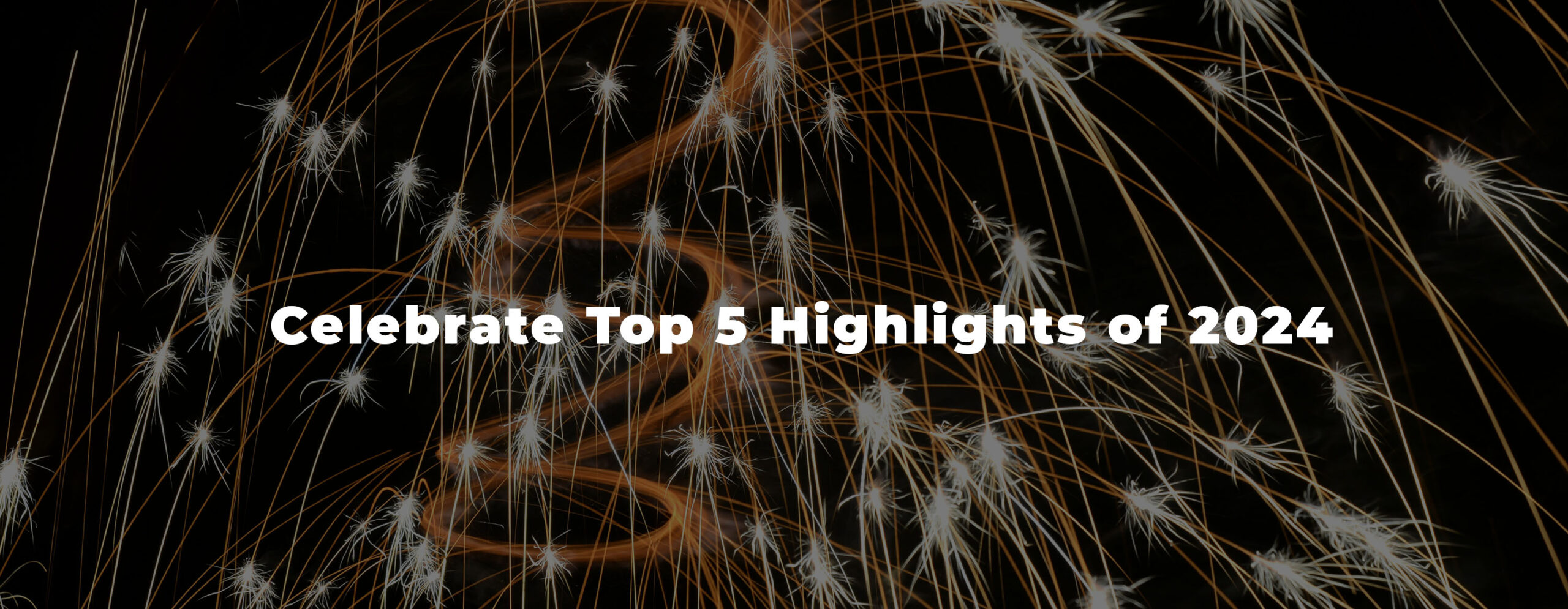 2024: A Year of Growth, Innovation, and Connection for SendSites